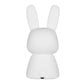 Blossoming Rabbit Silicone Lamp Led Colorful Atmosphere Night Light Bedside Lamp Birthday Gift